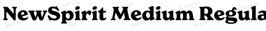 NewSpirit Medium Regular字体转换
